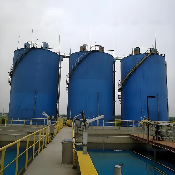 IC Anaerobic Reactor